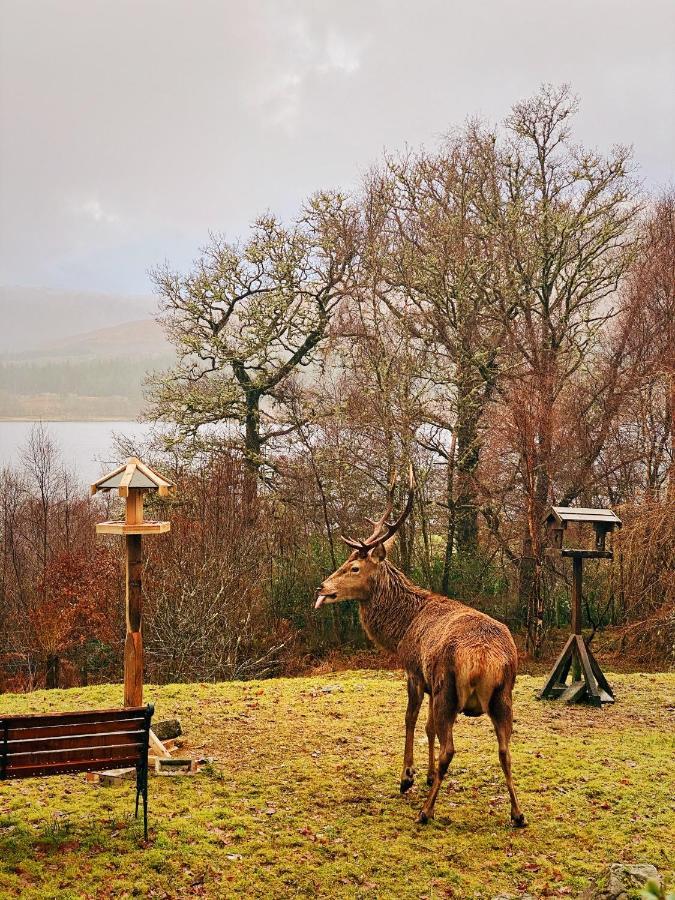 Tarmachan Cottage - West Highland Getaway Fort William Esterno foto
